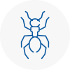 Ant Removals In Battersea