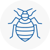 Bed Bug Extermination In Battersea