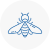 Bee Nest Removal Battersea