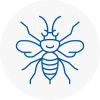 Battersea Hornet Nest Removals