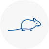 Mice Exterminators In Battersea