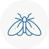 Moth Control Specialists In Battersea