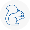 Battersea Rodent Removals